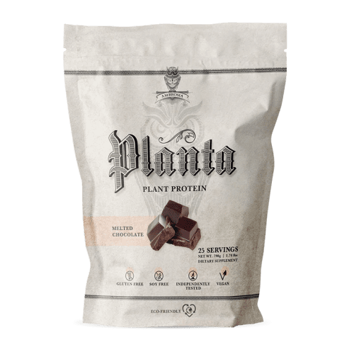 Planta MeltedChocolate Shadow Front 720x f7534074 c728 4487 ae37 63a5102fc00c